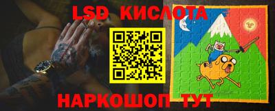 шишки Лесосибирск