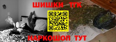 шишки Лесосибирск