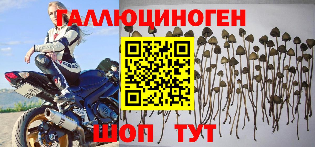 Галлюциногенные грибы мицелий Ялта