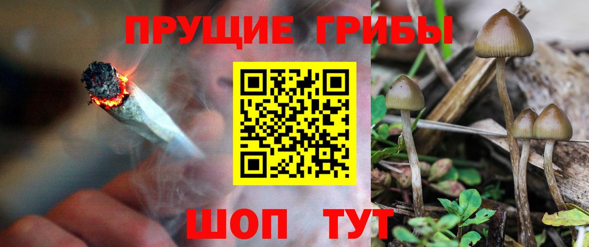 Ялта  Псилоцибиновые грибы Psilocybine cubensis  Псилоцибиновые грибы ЛСД  где купить   Вход с VPN 